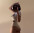 Body тд
