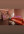 Vanila spa 10girls