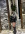 Акуля