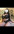 Онлайн и выезд писать ватсапп