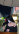 Сезим